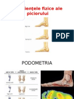 Deficienţele Fizice Ale Piciorului - Seminar 7