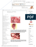 FOWL CHOLERA - Diseases of Poultry - The Poultry Site