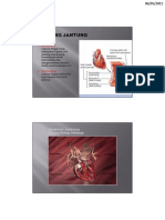 Anatomi Kardiovaskuler HP