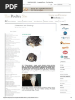 SALMONELLOSES - Diseases of Poultry - The Poultry Site