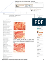 Viral Inclusion Body Hepatitis - Diseases of Poultry - The Poultry Site