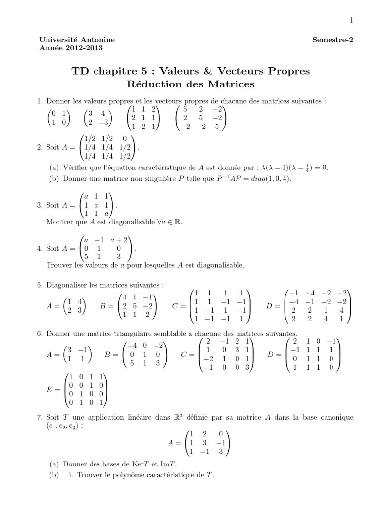 Valeurs et Vecteurs Propres des Matrices | PDF