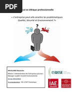 Ethique Professionnelle QSE - Peut on Ommettre Les Problématiques QSE - Alex ROUILLARD