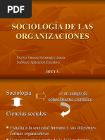 sociologiadelasorganizaciones-120917015339-phpapp01