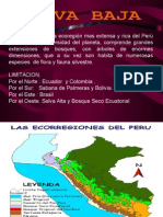 Selva Baja Del Peru