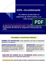 ADN-recombinante: técnicas y aplicaciones