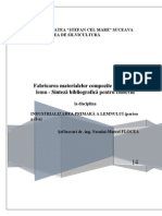 Compozite Material Examen PDF