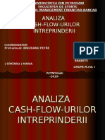 Analiza Cash-Flow-Urilor