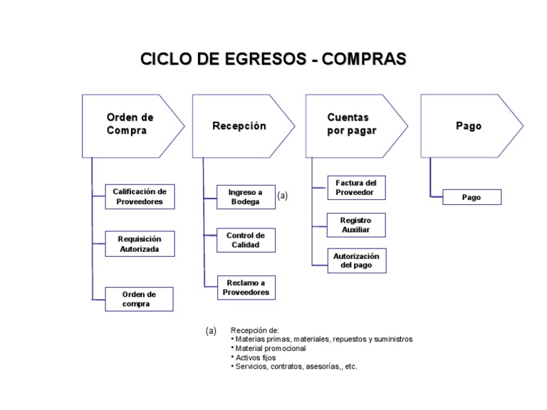 Ciclo de Compras y Cuentas por Pagar | PDF | Derecho