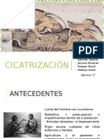 Cicatrizacion