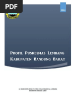 Download Profil Puskesmas Lembang Tahun 2014 by dr Nurul Rasihan SN266055678 doc pdf