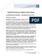 Lectura 3 - Derechos Reales Sobre Cosa Propia