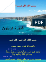 كتاب شجرة الزيتون 