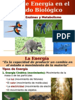 Clase 05 - Energia, Enzimas y Metabolismo