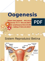 Oogenesis Proses dan Tahapan