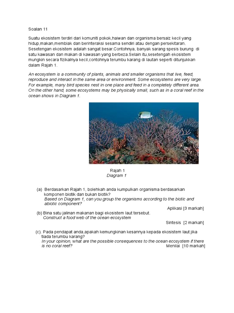 Contoh Soalan 11 Pdf