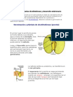 Germinación de Plantas Dicotiledóneas y Desarrollo Embrionario