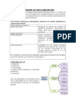 Clases Gastro 2 Parcial