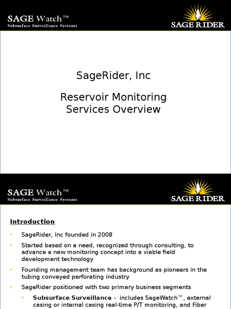 Reservoir Monitoring Services Presentation July 2014 | PDF | Optical ...