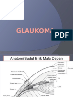 RPS Glaukoma