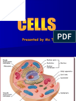 Cells Powerpoint Presentation 1223919167512493 9