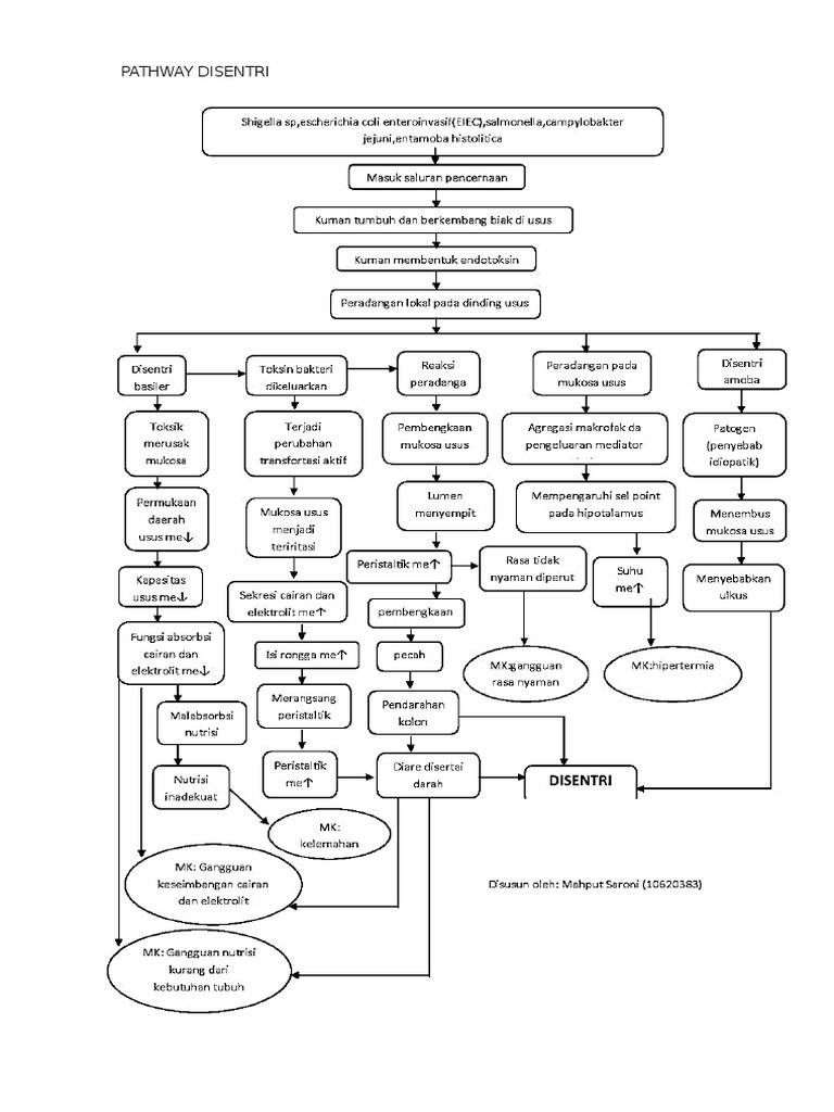 Pathway | PDF
