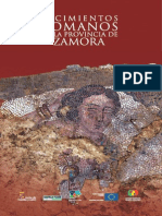 Yacimientos Romanos en La Provincia de Zamora