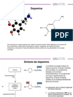 PSICOFARMACOLOGÍA TEMA 2 (Dopamina) - ULL