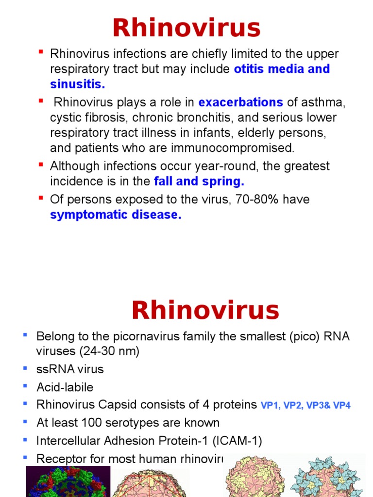 Rhinovirus: Otitis Media and Sinusitis. Exacerbations | PDF | Common ...