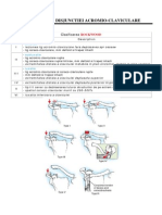 Clasificarea Fracturilor MB Sup