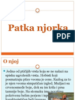 Patka Njorka