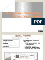 Apresentação Membrana e Movimentos Transmembranares