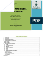 Gestion Ambiental Emresarial