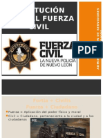 Fuerza Civil