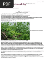 Teia Orgânica