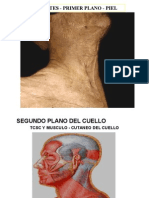 Cuello Usa