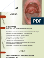 Lingua e Glandulas Salivares 2015