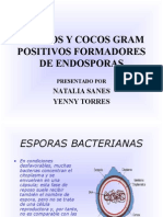 Bacilos_y_cocos(1).ppt
