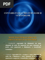 Contabilitatea Cheltuielilor Si Veniturilor