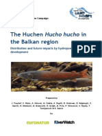 Hucho - Freihof Et Al 2015 BHE