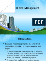 Financial Risk (2)kkkkkkkkkkkk