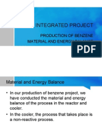 Integrated Project