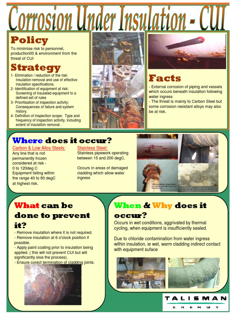 CUI Risk Management for Carbon Steels | PDF | Home & Garden