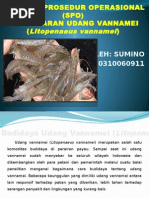 Download SPO PEMBESARAN Litopenaeus Vannamei by InNo AQua Culture JustforYou SN266205556 doc pdf