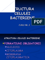 Structura Celulei Bacteriene