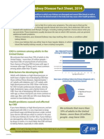 Kidney Factsheet PDF
