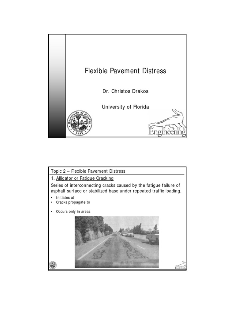 Types of Flexible Pavement Distress | PDF | Road Surface | Land Transport