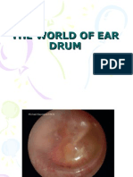 The World of Ear Drum