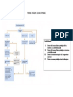 32 Protocol Evaluare Coloana Cervicala