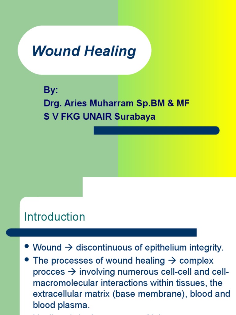 Wound Healing Mechanisms Explained | PDF | Wound Healing | Angiogenesis